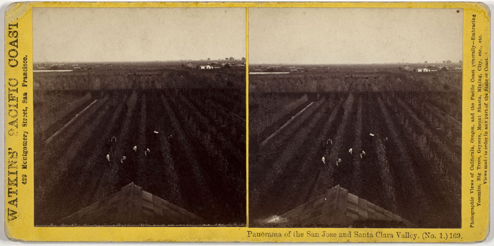 Watkins #169 - Panorama of San Jose and the Santa Clara Valley (No. 1)