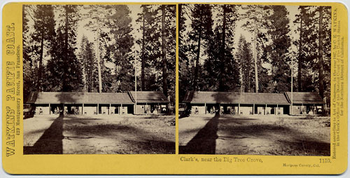 #1159 - Clark's, near the Big Tree Grove