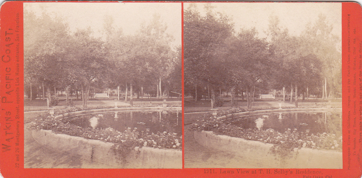 Watkins #1911 - Lawn View at T. H. Selby's Residence, Fair Oaks, Cal.