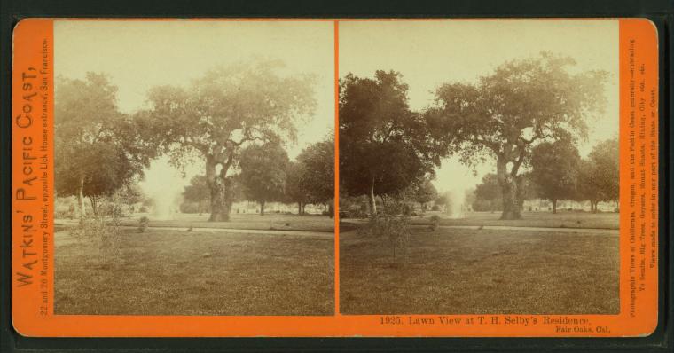 Watkins #1925 - Lawn view at T.H. Selby's Residence, Fair Oaks, Cal.