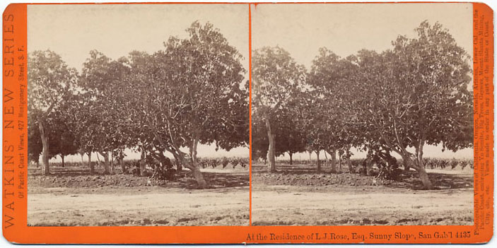 Watkins #4437 - At the Residence of L.J. Rose, Esq., Sunny Slope, San Gab'l., Cal.