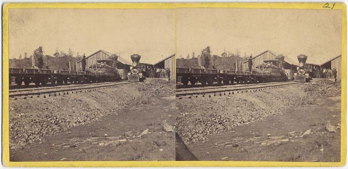 Watkins #21 - Trains at station, Auburn