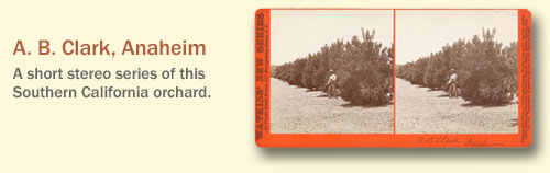 A.B. Clark, Anaheim Series