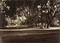 Unnumbered - Lawn View, Thurlow Lodge, Milton Latham Residence, San Mateo County