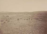 #1313 - View of Town of Tombstone, Cochise County, Arizona Territory