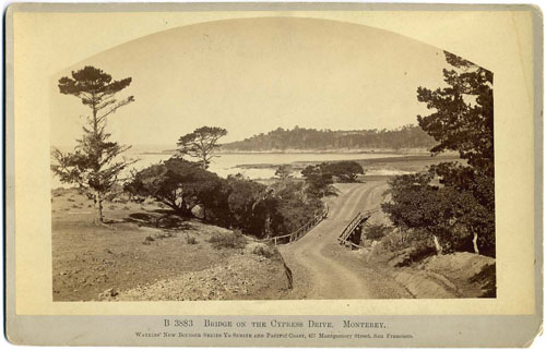 #B 3883 - Bridge on the Cypress Highway. Monterey.