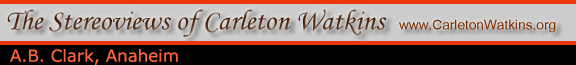 www.CarletonWatkins.org