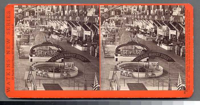 Watkins Unnumbered View - Fourteenth Industrial Exhibition, Mechanics' Institute, 1879
