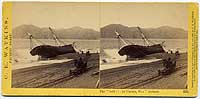 955 - The Wreck of the Viscata, San Francisco