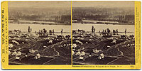 1204 - Panorama of Portland and the Willamette River, Oregon #4