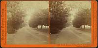 1907 - North Avenue, leading from T.H. Selby's Residence, Fair Oaks, Cal.