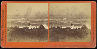 2044 - Sea Lions, West End, Farallone Islands, Pacific Ocean