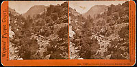 2313 - View of Pluton's Creek, Geysers, Sonoma County, Cal.