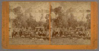 Click for hi-res image