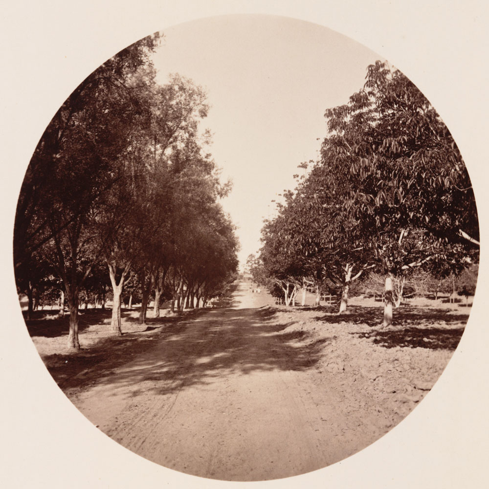 Watkins Unnumbered View - At the Residence of L.J. Rose, Esq., Sunny Slope