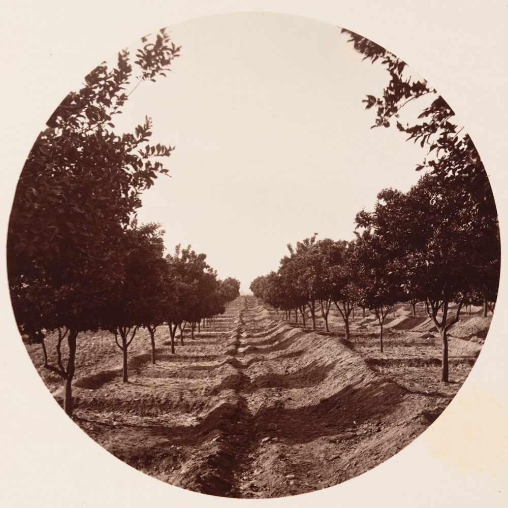 Unnumbered View - At the Residence of L.J. Rose, Esq., Sunny Slope