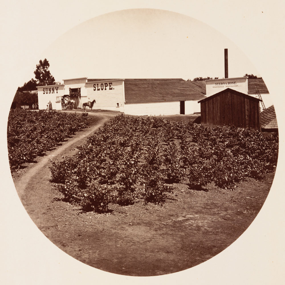 Unnumbered View - Sunny Slope Wine Buildings