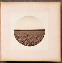Unnumbered - Sunny Slope from the Wine Buildings