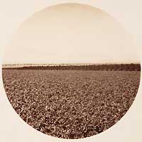 Unnumbered - Sunny Slope from the Wine Buildings