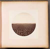 Unnumbered - Lemon Orchard, from the Wine Buildings