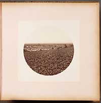 unnumbered-New Vineyard from the Wine Buildings