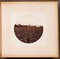 Unnumbered - Wine houses from the Ave.