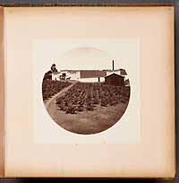 unnumbered-Sunny Slope Wine Buildings
