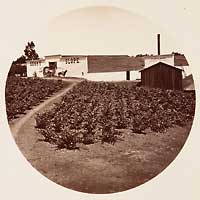 unnumbered-Sunny Slope Wine Buildings