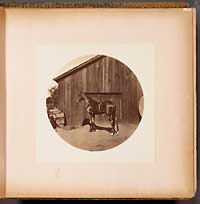 Unnumbered - Sultan, Son of the Moor.  Dam, Sultana, by Delmonico, and Sire of "Sweetheart."