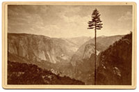 Unnumbered - The Yosemite Valley from the Mariposa Trail