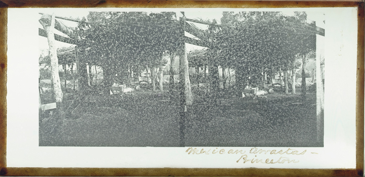 Watkins Unnumbered View - Mexican Arrastas - Princeton