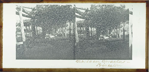 Unnumbered View - Mexican Arrastas - Princeton