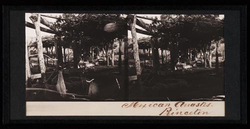 Unnumbered View - Mexican Arrastes. Princeton