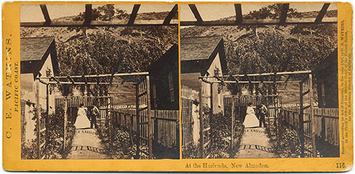 #116 - At the Hacienda, New Almaden