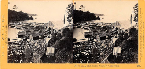 #288 - Noyo Mill, Mendocino County, California.