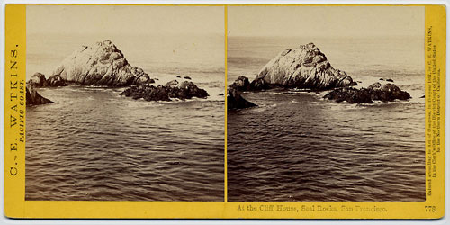 #778 - At the Cliff House, Seal Rocks, San Francisco