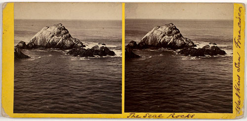 #778 - The Seal Rocks
