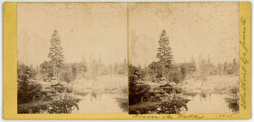 #1018 - Down the Valley