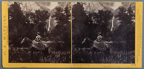 #1052 - In Camp Grove, Yosemite Valley, Mariposa County, Cal.