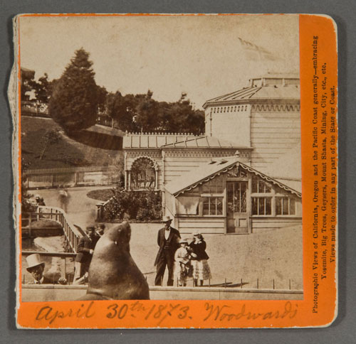 #1645 - Sea Lions, Woodward Gardens, San Francisco