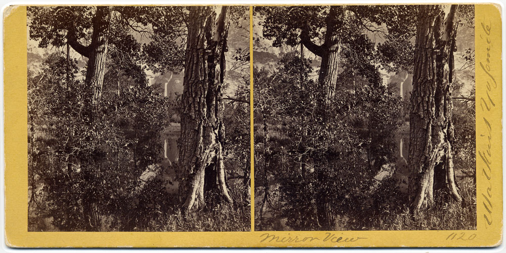Watkins #1120 - Mirror View
