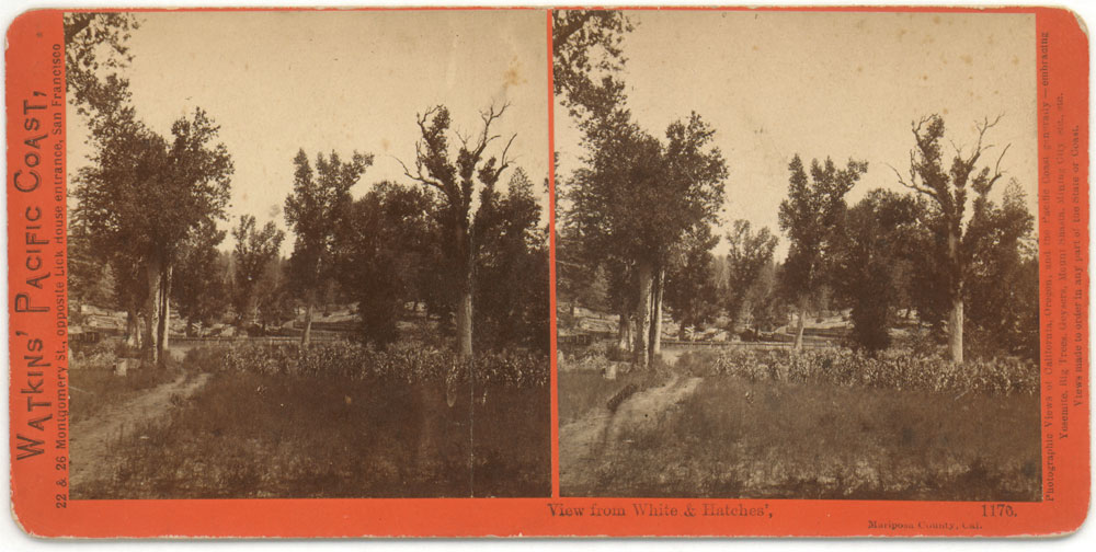 Watkins #1176 - View from White & Hatches', Mariposa County