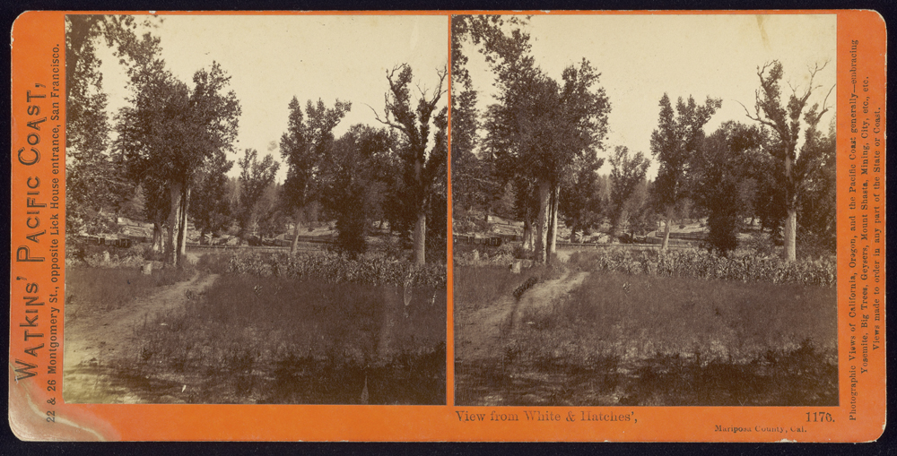 Watkins #1176 - View from White & Hatches', Mariposa County