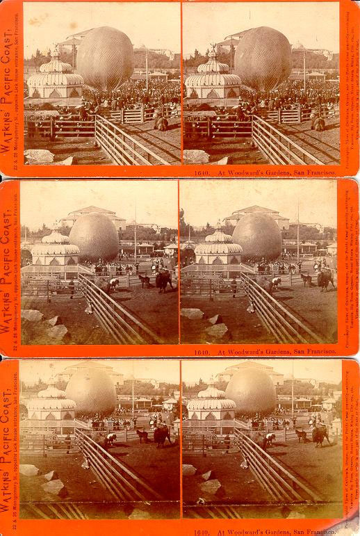 Watkins #1640 - At Woodward's Gardens, San Francisco.