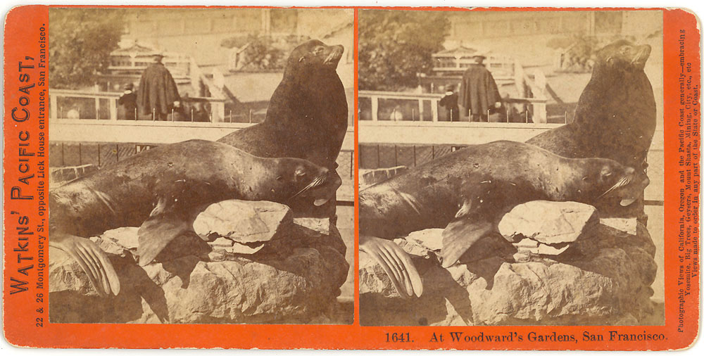 Watkins #1641 - At Woodward's Gardens, San Francisco