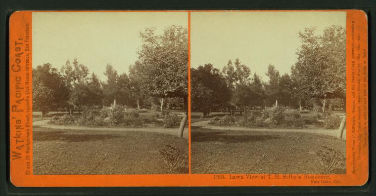 #1924 - Lawn view at Selby's Residence, Fair Oaks