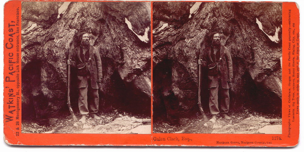 Watkins #1174 - Galen Clark, Esq., Mariposa Grove, Mariposa County, Cal.