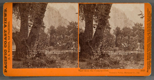 #3026 - View from the Cosmopolitan, Yosemite Valley, Mariposa County, Cal.