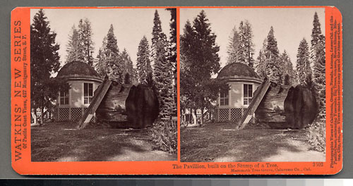 #3502 - The Pavilion, built on the Stump of a Tree, Mammoth Tree Grove, Calaveras Co., Cal.