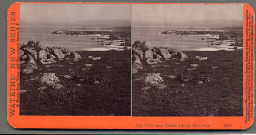 #3867 - View of Pacific Grove from Sentinel Rock, Monterey, Cal.